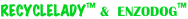 shapeimage_18_link_1
